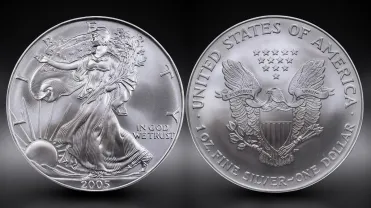 シルバーイーグル　銀貨　2005年 シルバーイーグル 銀貨 2005年