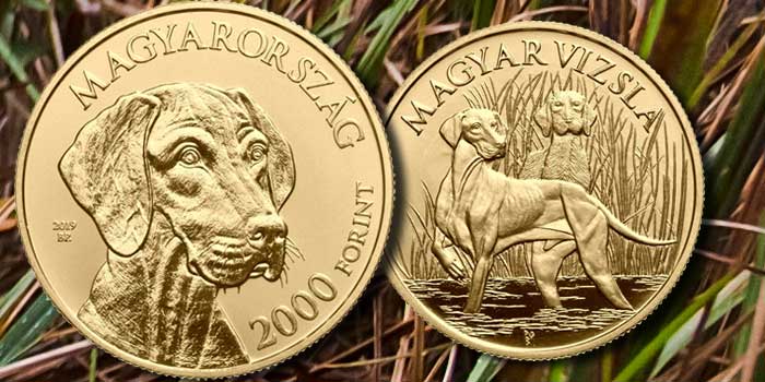 Popular Hunting Dog Breed Vizsla Focus of New Coin From Hungary